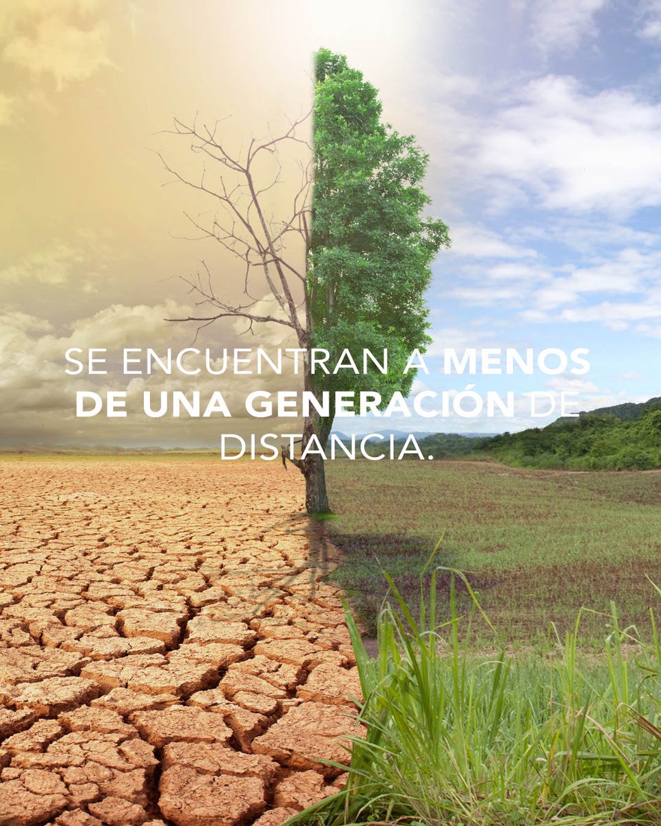 alexoficial's tweet photo. Empieza ahora y empieza por ti.
Ya sabes qué hacer. #diadelatierra 
#earthday2021🌍 https://t.co/ueqyogTNeA