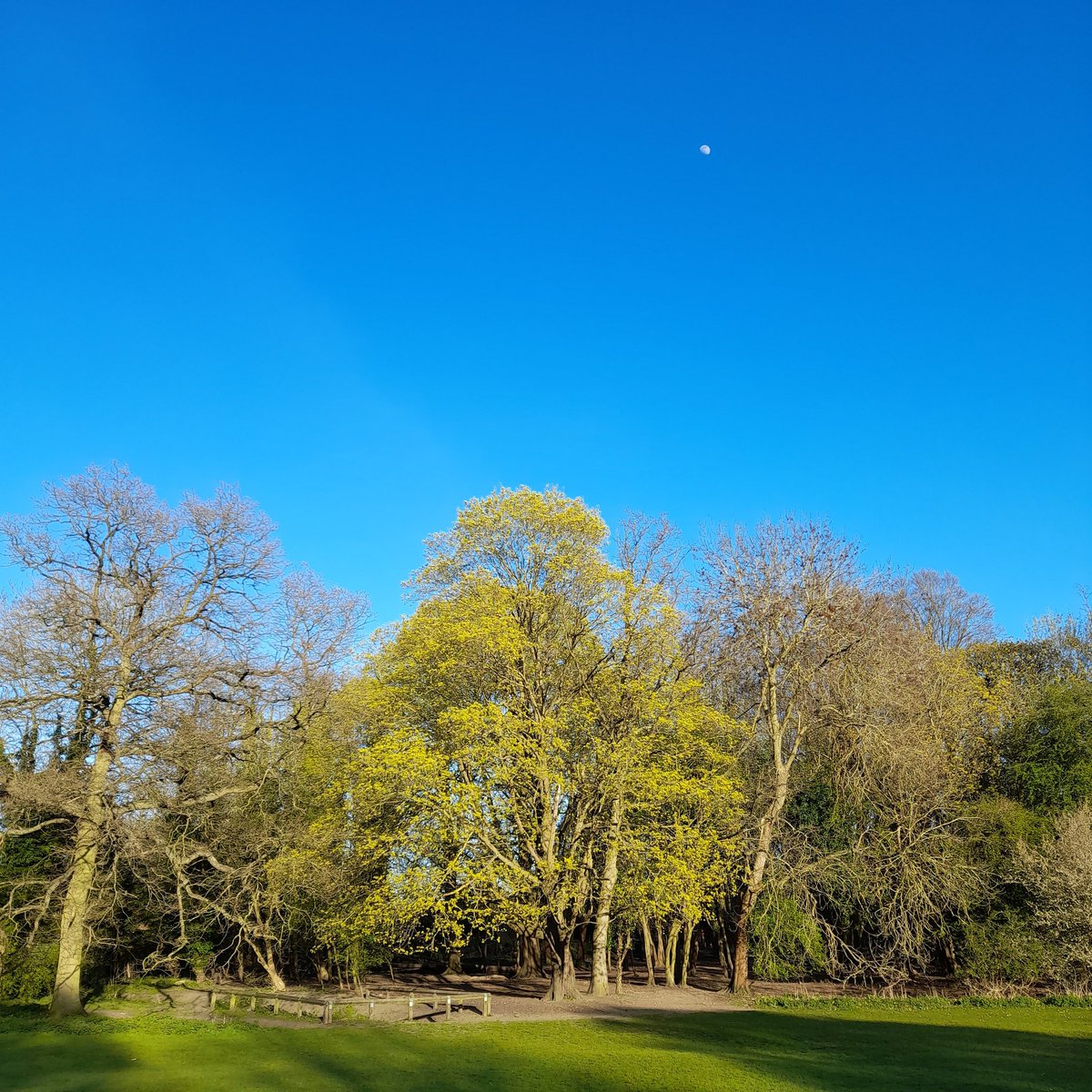 The view was stunning on my way home from delivering leaflets in #Letchworth North this evening!😍😍 <a href="/NEHertsLabour/">North East Hertfordshire Labour Party</a>