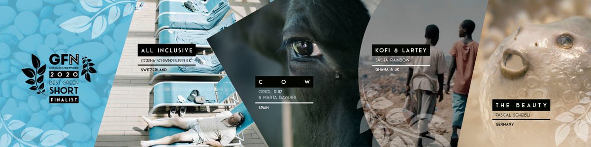 Green Film Network (@greenfilmnet) on Twitter photo We are proud to announce the Finalists for Best Green Short 2020
- All Inclusive
- The Beauty
- Cow/Vaca
- Kofi & Lartey
#greenfilmnetwork #greenfilmawards #momotrupfilms #vacashortfilm #kofiandlartey #kofiandlarteyfilm @thebeautyfilm @martabayarrivalls <a href="/itssasharainbow/">Sasha Rainbow</a> We are proud to announce the Finalists for Best Green Short 2020
- All Inclusive
- The Beauty
- Cow/Vaca
- Kofi & Lartey
#greenfilmnetwork #greenfilmawards #momotrupfilms #vacashortfilm #kofiandlartey #kofiandlarteyfilm @thebeautyfilm @martabayarrivalls <a href="/itssasharainbow/">Sasha Rainbow</a>