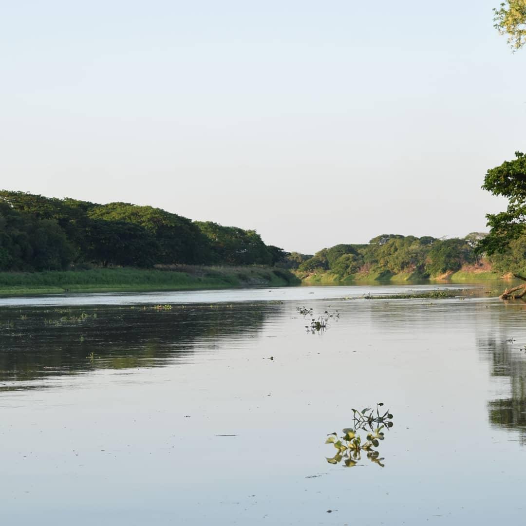 Día de la tierra. Hogar de todos. Planeta de paisajes llenos de vida. Imagen del río Portuguesa, albergue de la tonina del Orinoco.