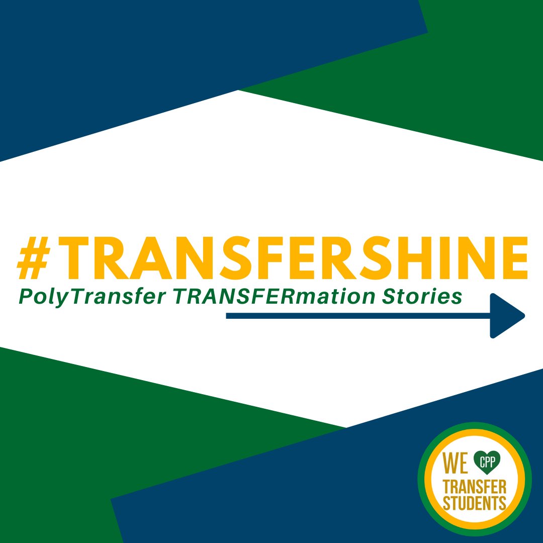 PolyTransfer 💙💚💛 tweet media