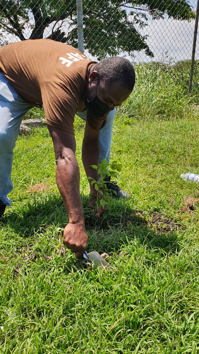 ForestryDeptJa's tweet photo. Third stop on today's tree planting activities in Clarendon.
27 seedlings were planted at the Garvey Maceo High School with over 150 more to be planted.
The MP for Clarendon South Western, Mr. Lothian Cousins came and supported the activity.
...
#MyTreeLegacy #EarthDay2021 https://t.co/jUqmtXYCAI
