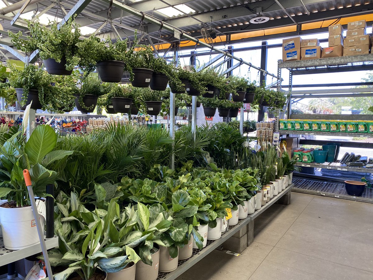 GregWilley4's tweet photo. HD 170 Savannah Georgia.      This store was merchandised well, lots of activity in the garden center. https://t.co/vBLGeZHxG7