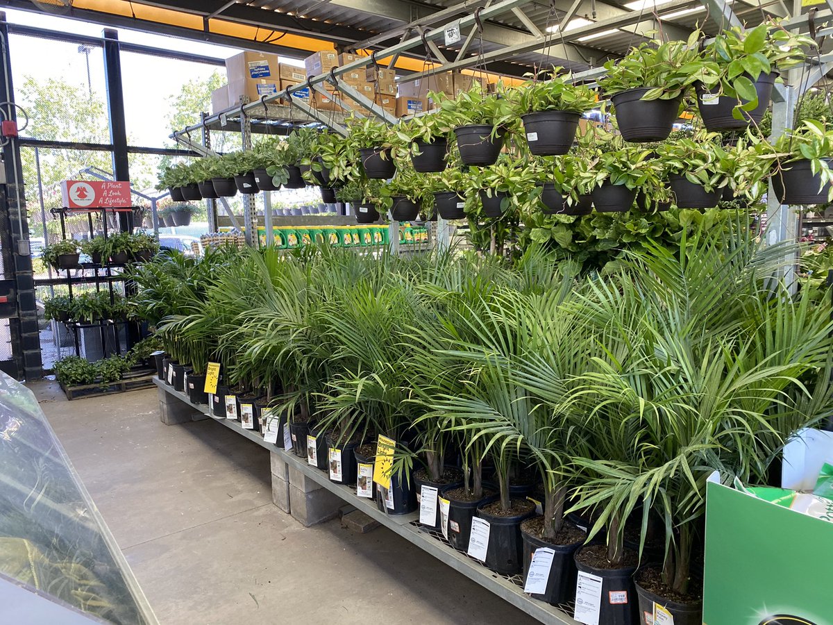 HD 170 Savannah Georgia.      This store was merchandised well, lots of activity in the garden center.
