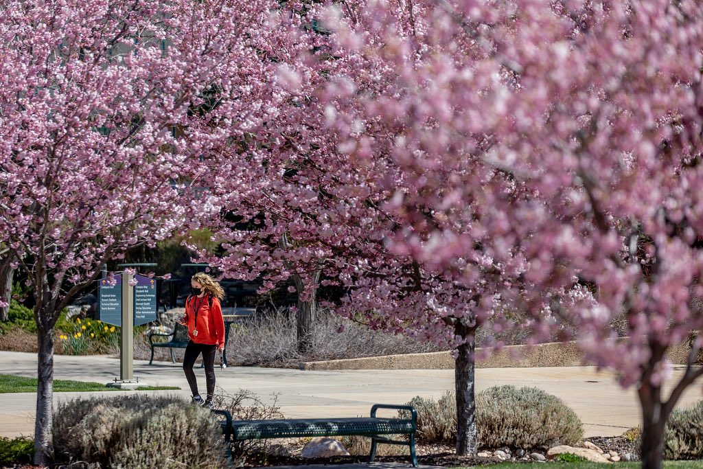 Weber State Arts tweet media
