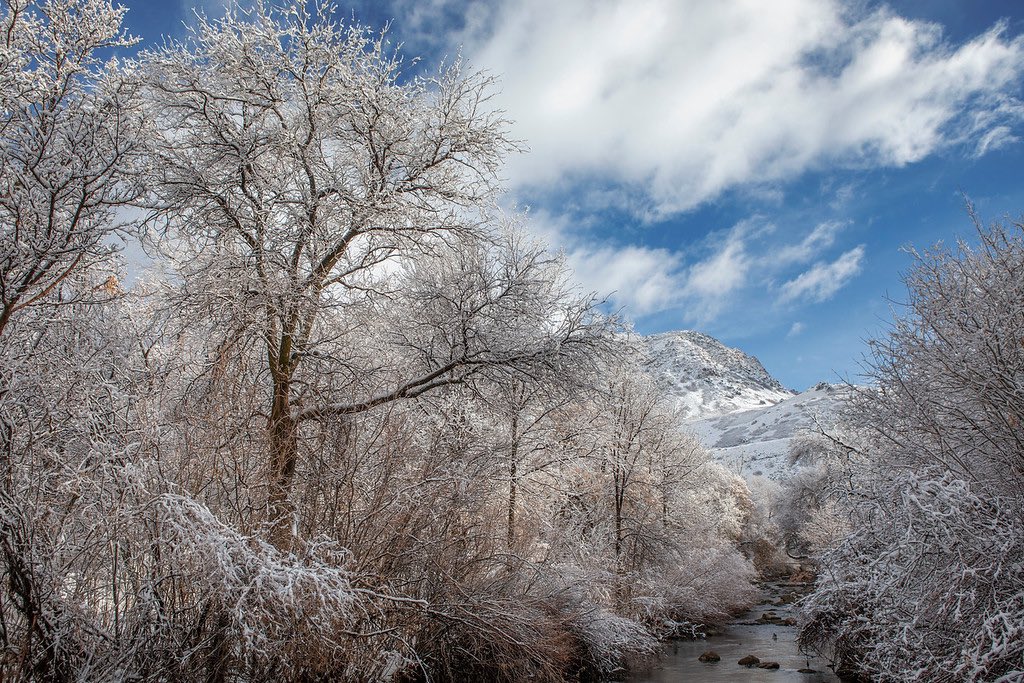 Weber State Arts tweet media