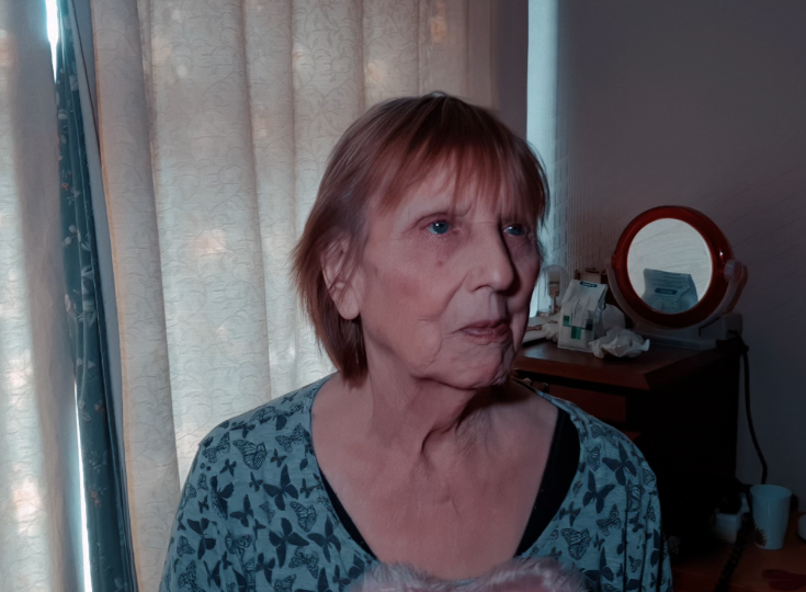 84Hanwall's tweet image. Screen grabs from the film The Perils of  Deliberate Kindness