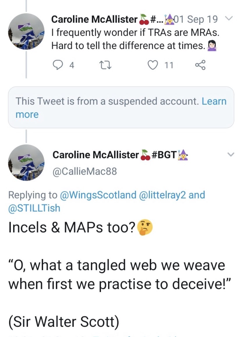 Another SNP NEC defect, Caroline McAllister too has bought into 1980s homophobia and transphobia, and likely has a tin foil hat to compliment this. She cannot be allowed into SP and is a threat to human rights. (8/)