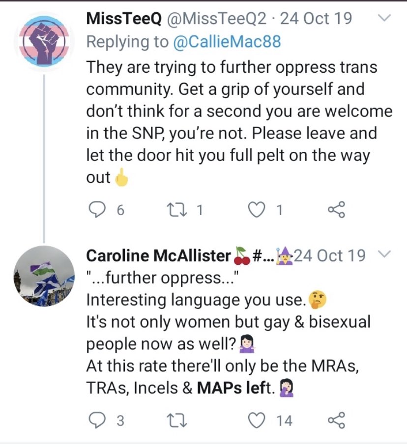 Another SNP NEC defect, Caroline McAllister too has bought into 1980s homophobia and transphobia, and likely has a tin foil hat to compliment this. She cannot be allowed into SP and is a threat to human rights. (8/)