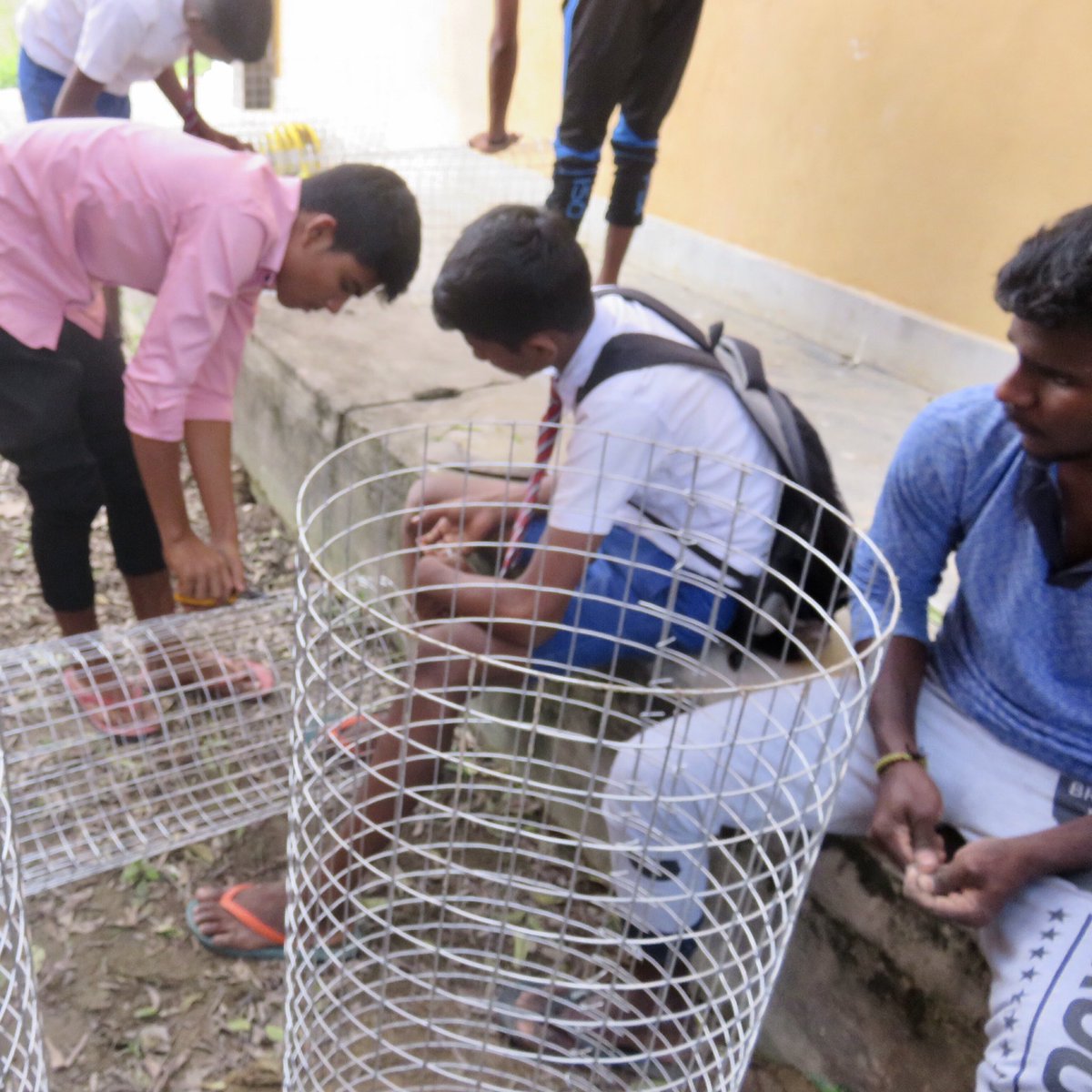 imho_canada's tweet photo. On #EarthDay today, we acknowledge our 2019 Tree Planting Project completed in #Kilinochchi District with our partner organization SJC87 Initiative and with engagement from students at Konavil Maha Vidyalayam and Vaddakachchi Central College.
.
#EarthDay #EarthDay2021 https://t.co/br9JHPGDET
