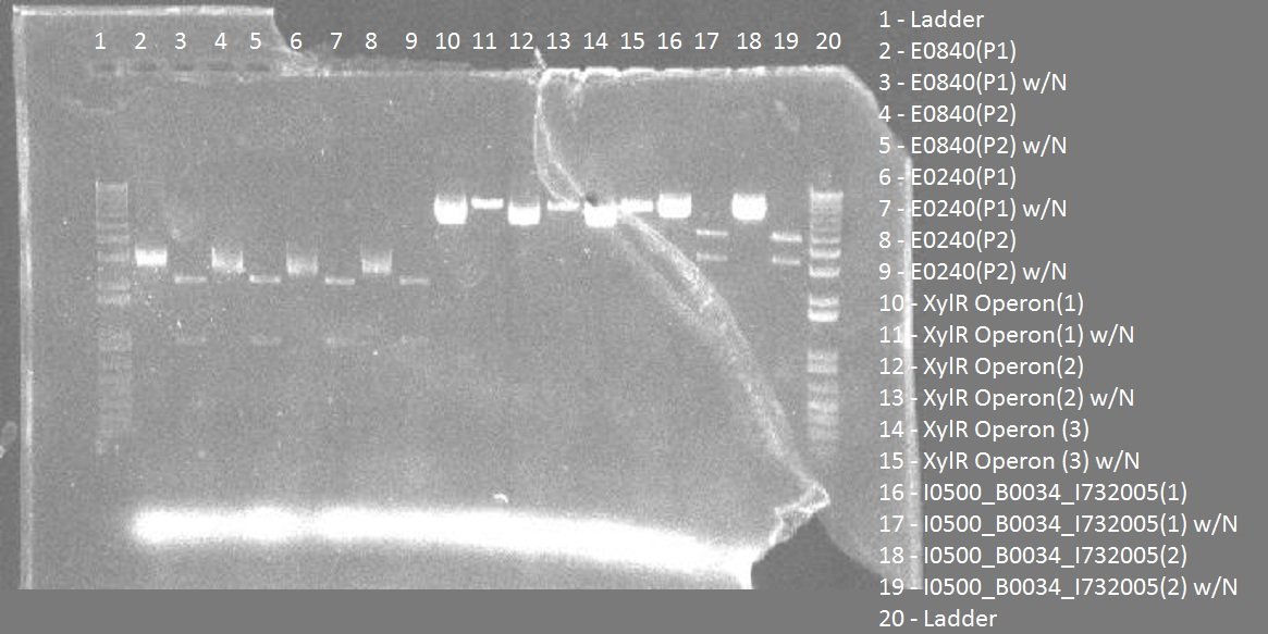 DNA_RNA_Uni tweet picture