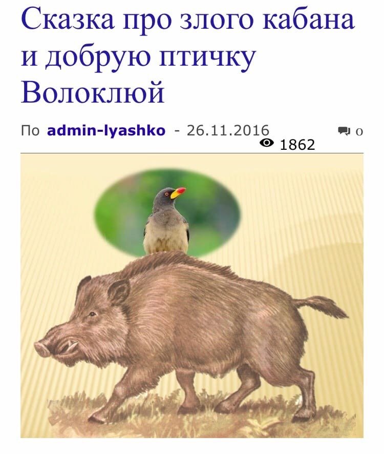 Лицо кабана и доброго в реальной жизни. Ютуб кабан и добрый. Кабан и добрый. Доброе утро кабан. Кабан и добрый.