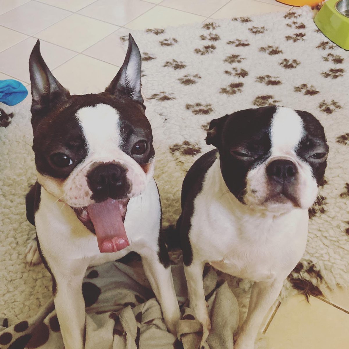 Paddy is happy because it is Friday tomorrow. Ingrid is already in Friday night 😂