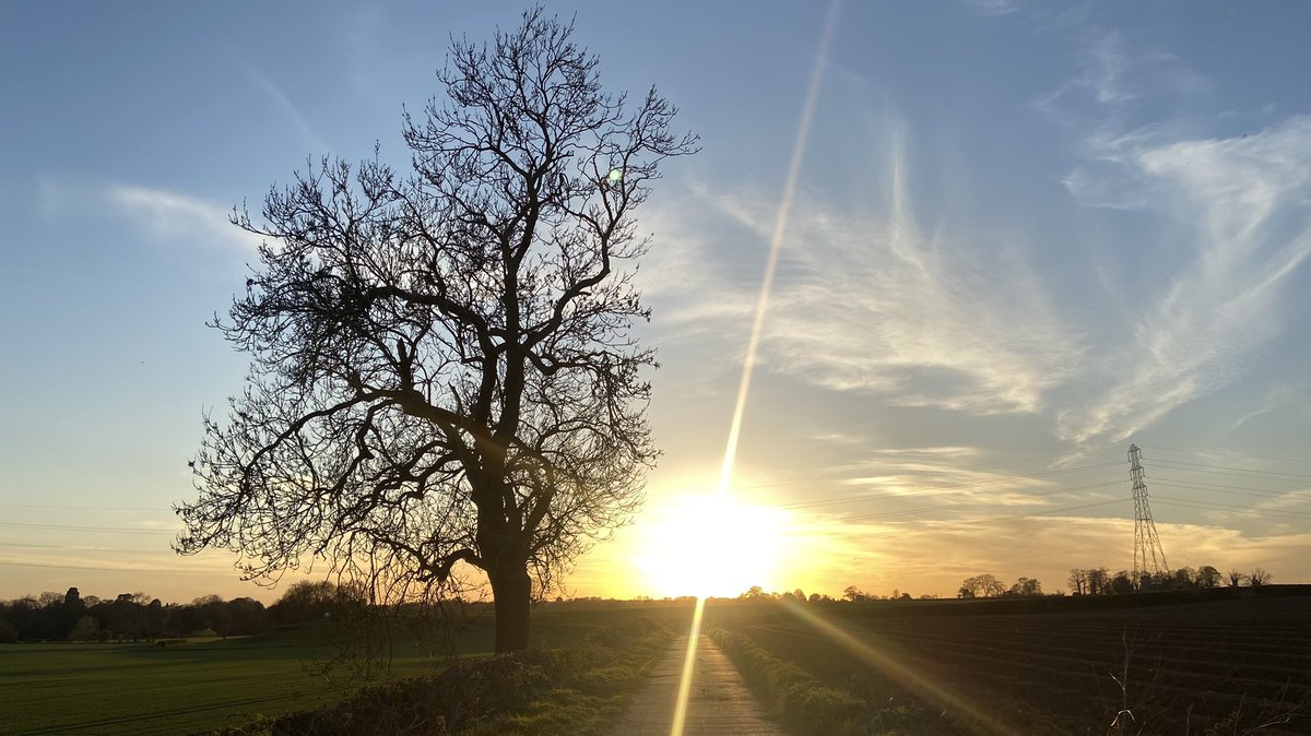 Colin Pinks tweet media