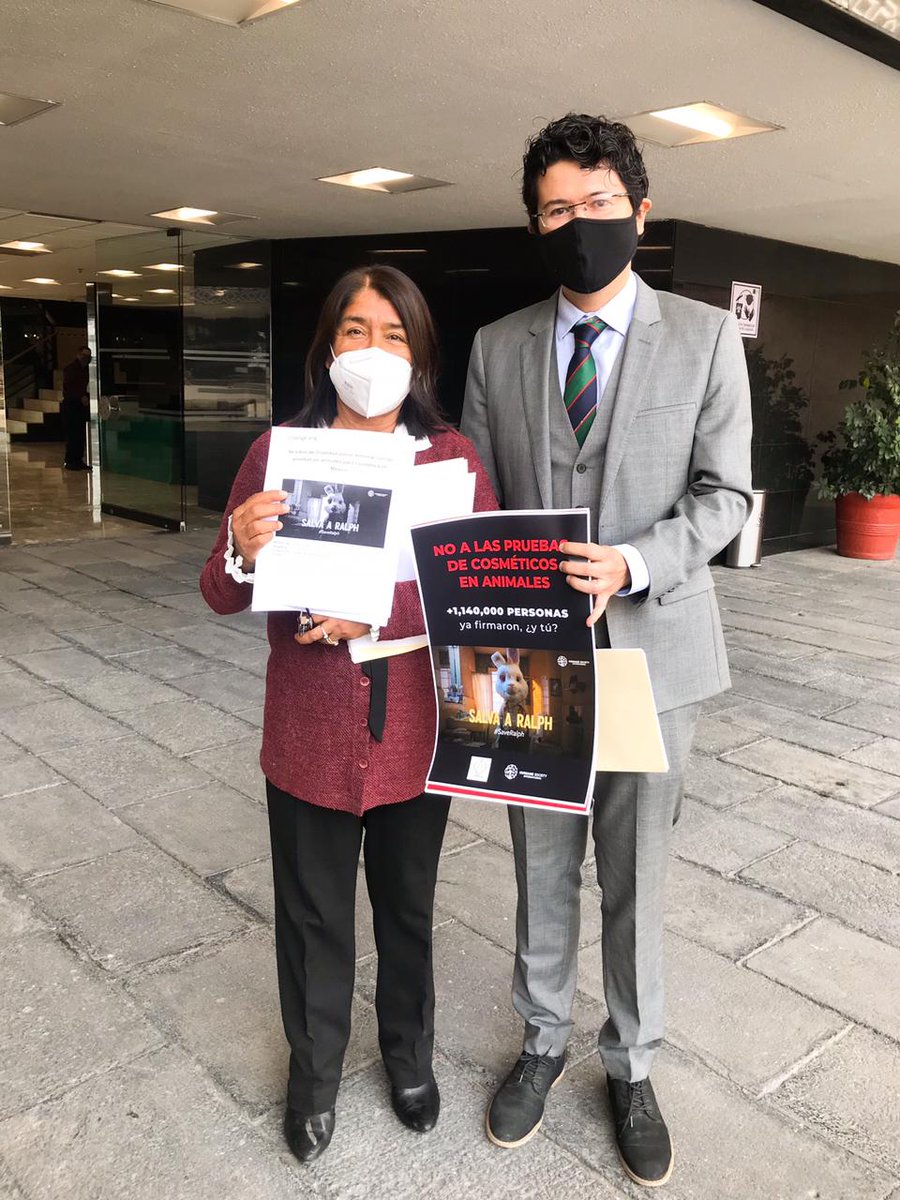 Humane World for Animals Mexico tweet media