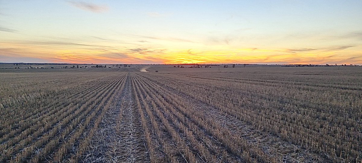 SLR_Agriculture's tweet photo. ✅ Latham/Bunjil site seeded. @theGRDC Long coleoptile is in, nice site thanks @hirschirsch. See below 2 seeding depths. #boutique #longcoleoptile #deepseeding https://t.co/ji6gsYjjnl