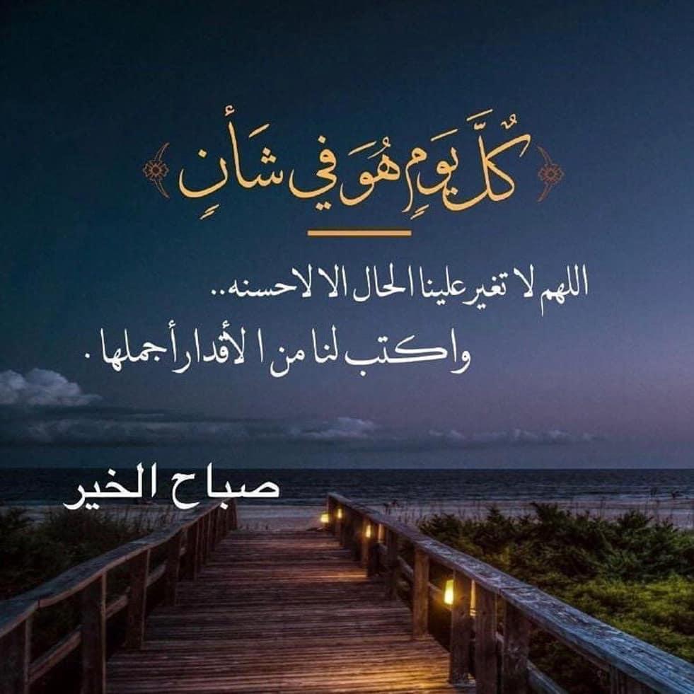 alrasasi355 tweet picture