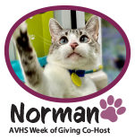 Auburn Valley Humane Society tweet media