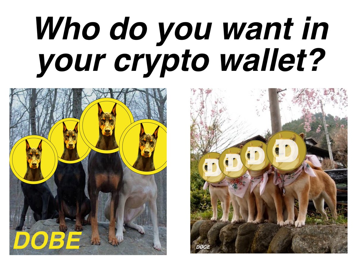 Dobetoken's tweet photo. @souljaboy  $DOBE?

#DobermannToken
#dogecoin https://t.co/wHcUhlqKYR
