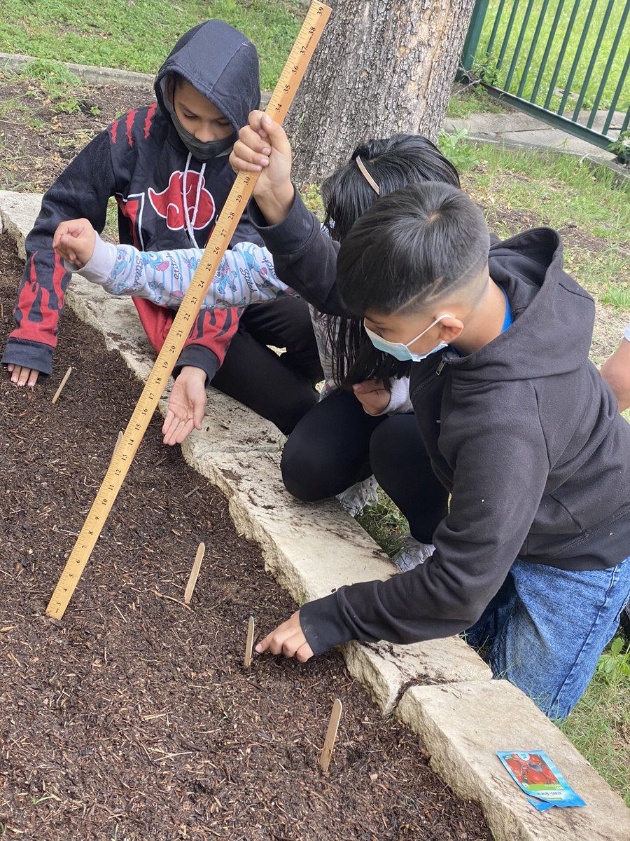 Celebrated Earth Day by incorporating our math lesson on perimeter and area while cleaning and planting some veggies in the garden. <a href="/BEMustangPride/">Dr. Gilma Sanchez</a>