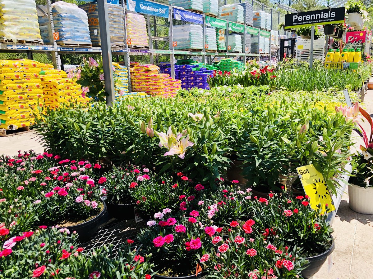 Karen Codair (@ppskare) on Twitter photo Earth Day today! Let’s get to digging! #pollenators #perennialpower Choice is abundant at THD 3648 Shallotte NC <a href="/JimSimmonsHD/">Jim Simmons</a> @scottburtonthd <a href="/lumbeelady2004/">Rachel Leonard</a> <a href="/pps_s_atlantic/">AC</a> @PPSinHD Earth Day today! Let’s get to digging! #pollenators #perennialpower Choice is abundant at THD 3648 Shallotte NC <a href="/JimSimmonsHD/">Jim Simmons</a> @scottburtonthd <a href="/lumbeelady2004/">Rachel Leonard</a> <a href="/pps_s_atlantic/">AC</a> @PPSinHD