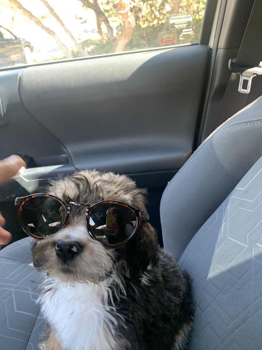 Cute_Dyl's tweet photo. Sup https://t.co/ksyHe3pevx