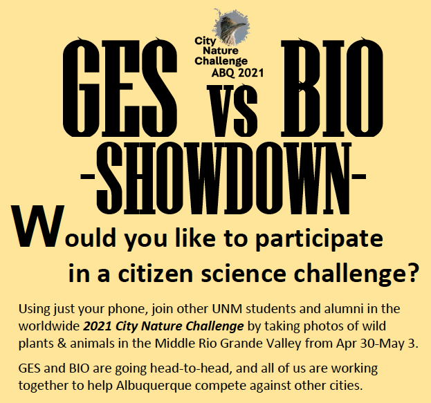 UNM_GES's tweet photo. WE HEREBY CHALLENGE UNM BIOLOGY in the 2021 City Nature Challenge @abqcitynature on the following metrics: # of observations, # of species observed, and % departmental participation. We are bringing a big team. Can you answer? @Cphotosynthesis @tsquareturner @MSBbirds https://t.co/mI5YX0OC2I
