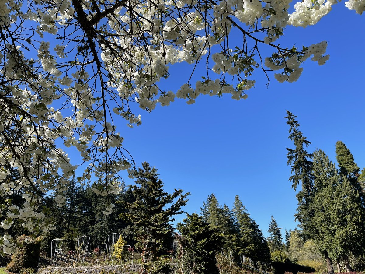 RHill85's tweet photo. Happy Earth Day! https://t.co/QraEWN8J4e