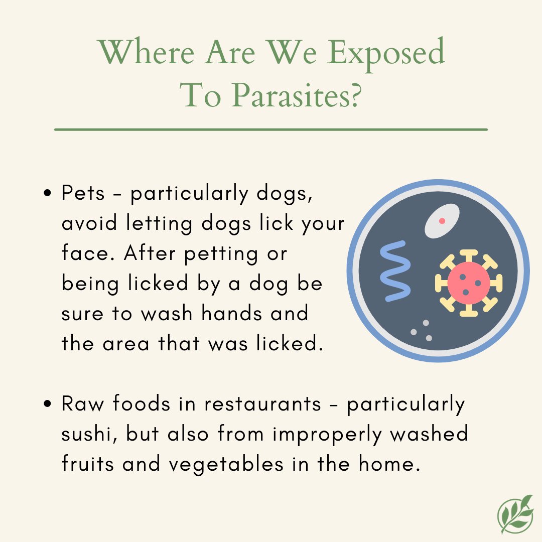 As much as we love our furry friends, we do need to be conscious of the fact that they can often transmit parasites. Dr. Bita recommends taking your pets to the vet once or twice a year to receive a de-wormer or anti-parasite treatment.