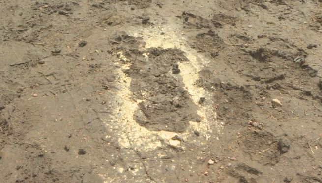 DillonMThomas's tweet photo. 🐎COLT STOLEN FROM MOTHER🐎

"She's Distraught"

A horse in #Colorado is visibly depressed after its four-day-old colt was stolen overnight

The owners say she keeps returning to a corner of the farm where foot &amp; small hoof prints were found

The search for the colt @CBSDenver 5p https://t.co/80Nak6gOK1