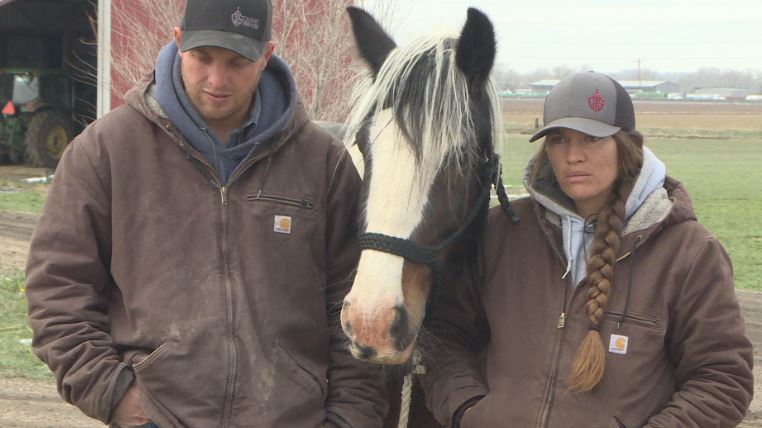 DillonMThomas's tweet photo. 🐎COLT STOLEN FROM MOTHER🐎

"She's Distraught"

A horse in #Colorado is visibly depressed after its four-day-old colt was stolen overnight

The owners say she keeps returning to a corner of the farm where foot &amp; small hoof prints were found

The search for the colt @CBSDenver 5p https://t.co/80Nak6gOK1