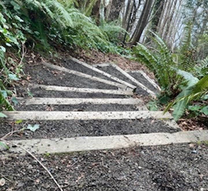 Burien PaRCS tweet media