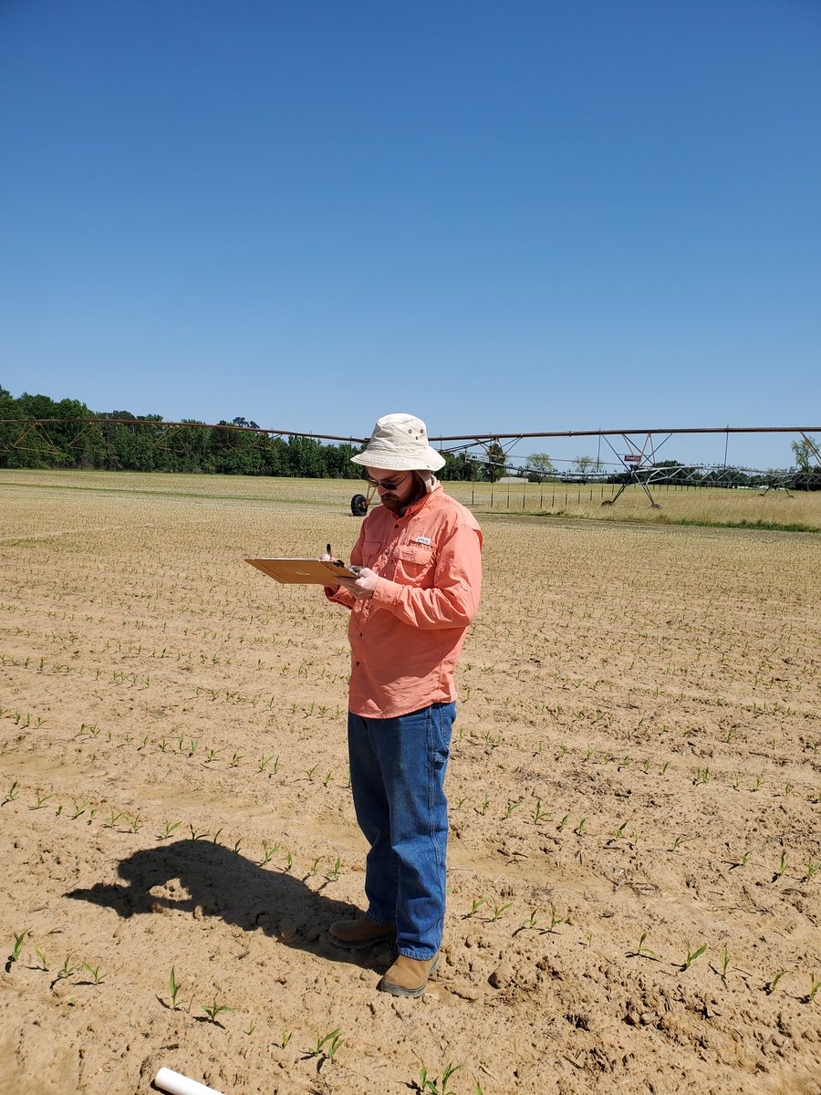 PrecAgEngineer's tweet photo. A day in @UGAExtension - data collection in #precisionfertilization corn study, delivering #SMARTFarm signs for SE agents, a sweet gift from Pam Sapp for Amber (my daughter) and troubleshooting planter/stand issues in corn with Ross Greene!! #ugaextension #bestpeople #bestjob https://t.co/QaFfZiNPAI