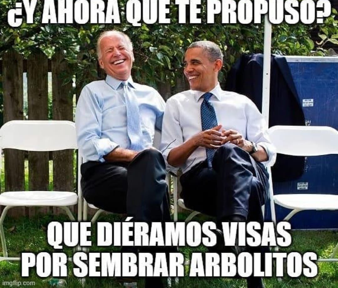 Denise Dresser tweet media