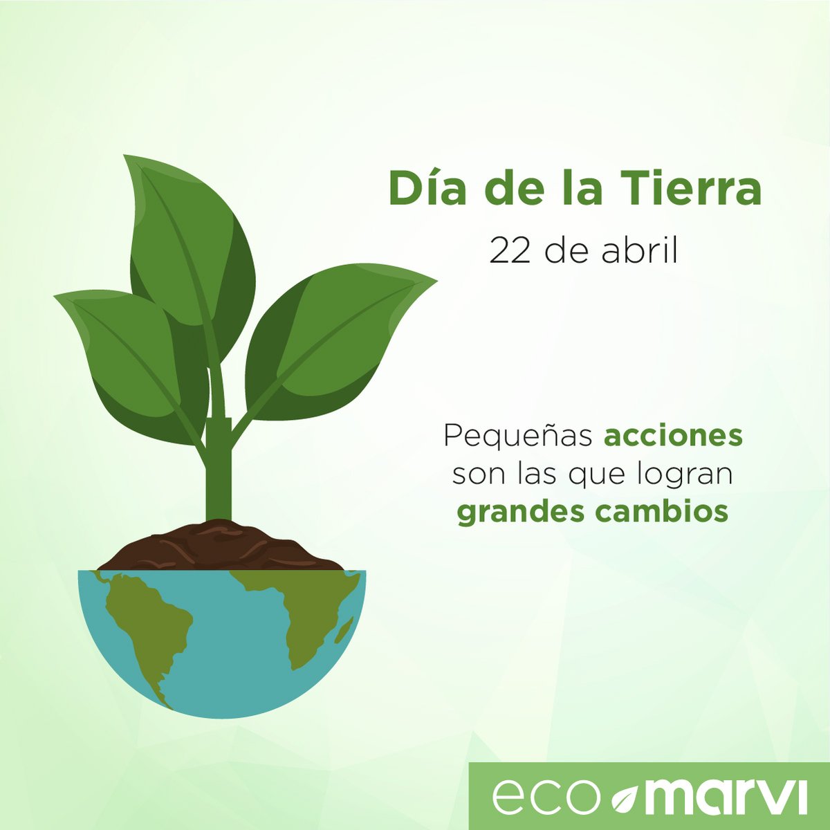 Eco Marvi tweet media