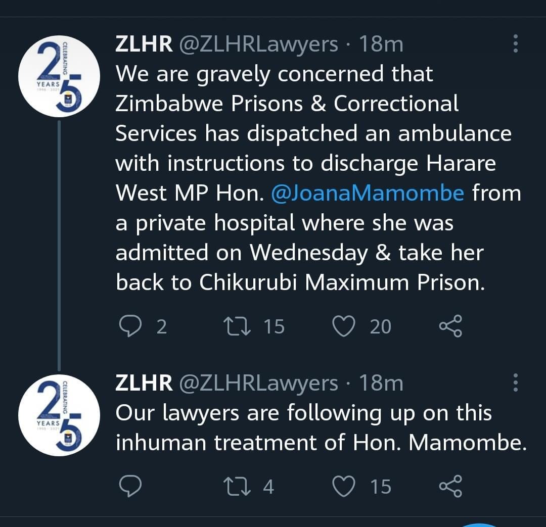 ChirungaMishell's tweet image. 