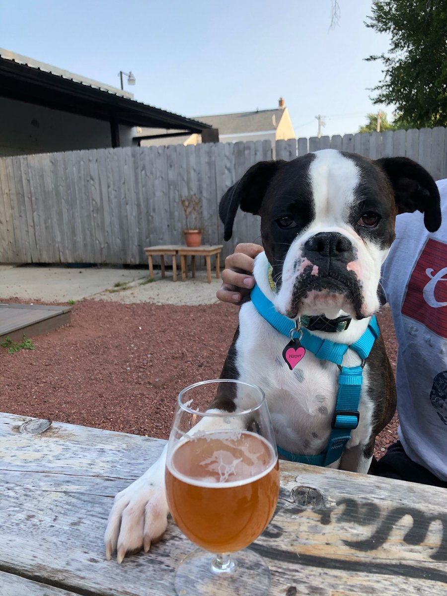 nstrong447's tweet photo. @BuschBeer #BuschDogBrew https://t.co/s1qwexkhmG