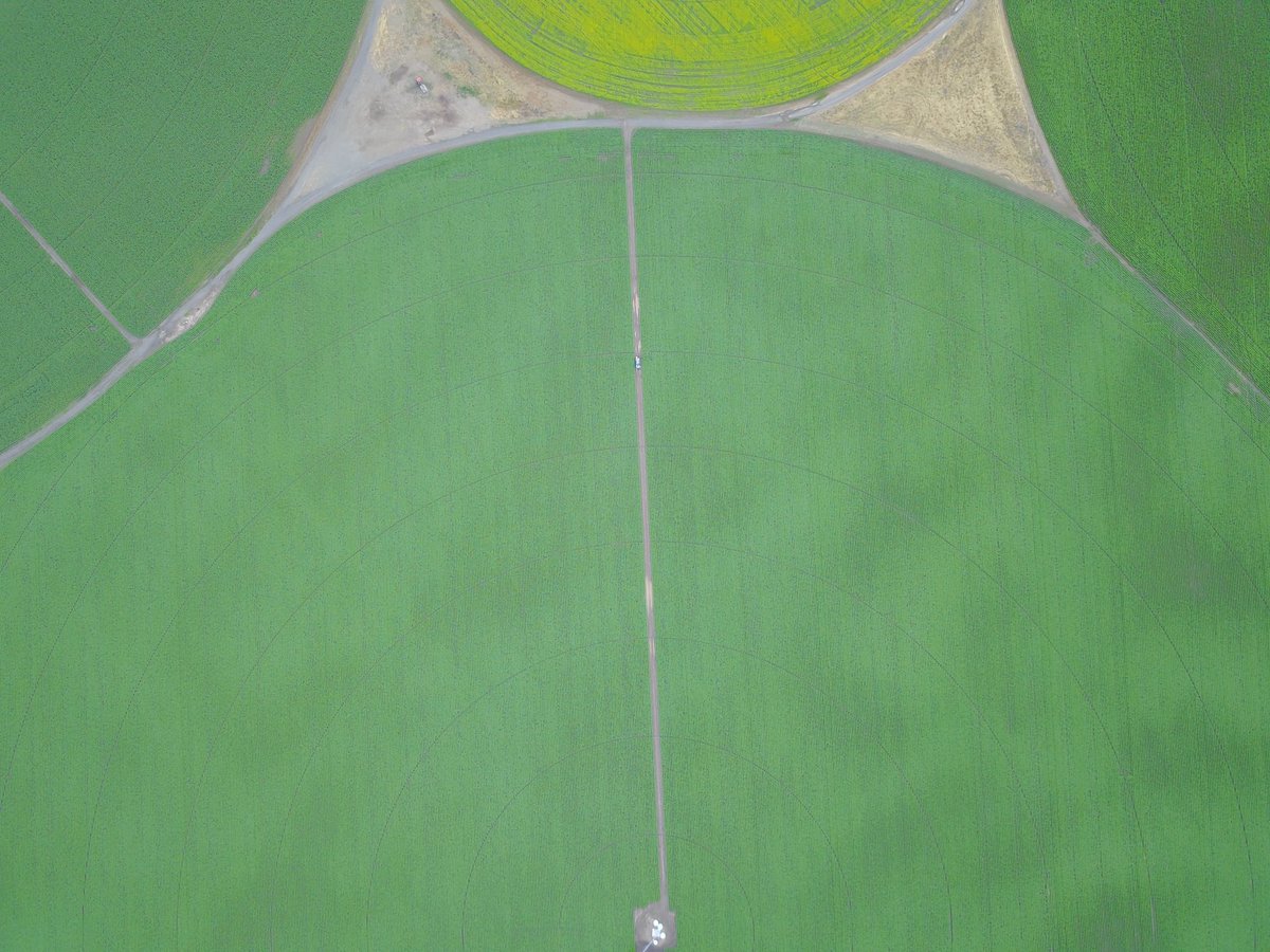 adamweber3's tweet photo. Happy #EarthDay to all! Annual reminder that the best way to conserve land and water resources is by growing food with conventional methods! Organic production can easily double or triple the amount of water and land needed. https://t.co/rOWxhOJzKj