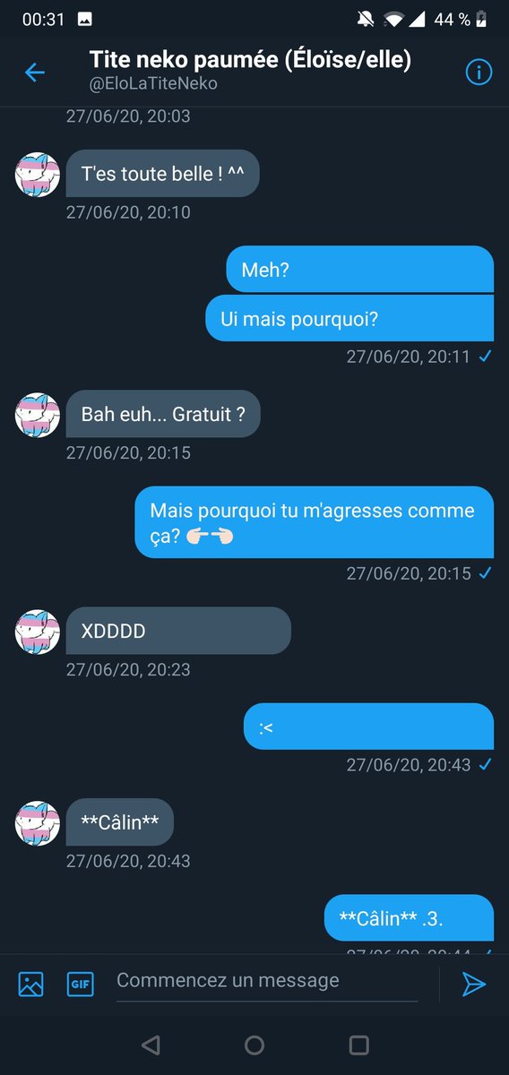 Ça va être long attention! S'il vous plait ne PRÊTEZ PAS ATTENTION À MES MESSAGES j'ai jamais vu un truc aussi cringe ew