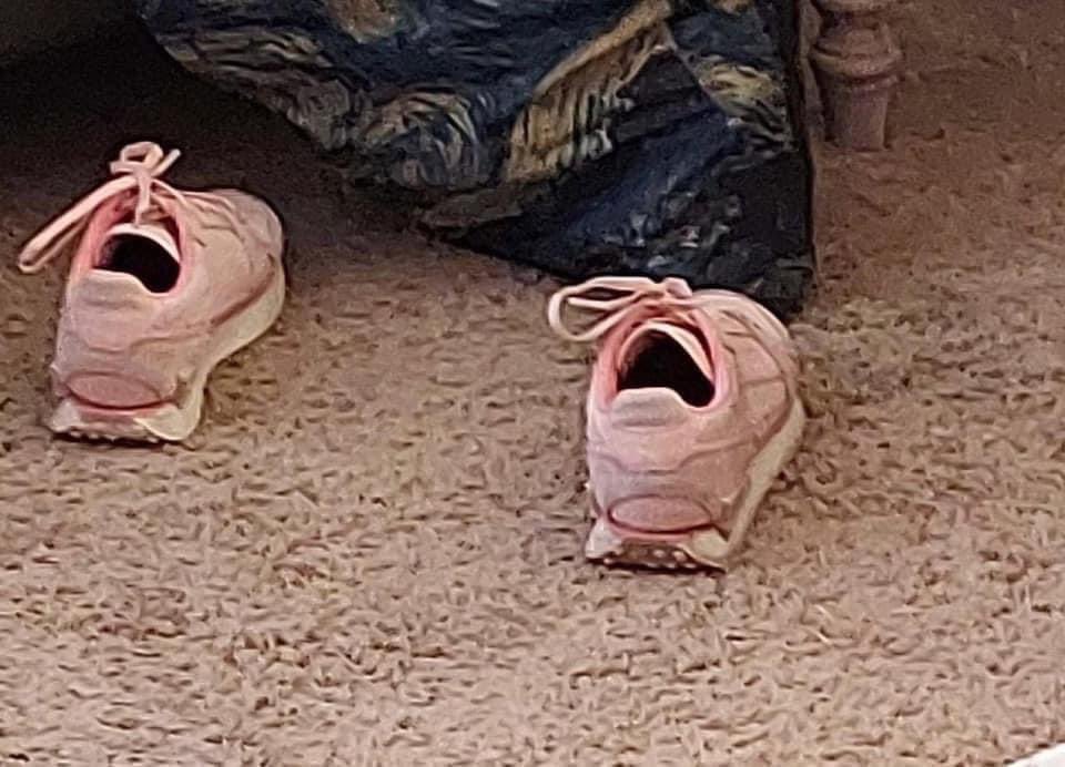 astrotoya's tweet image. 