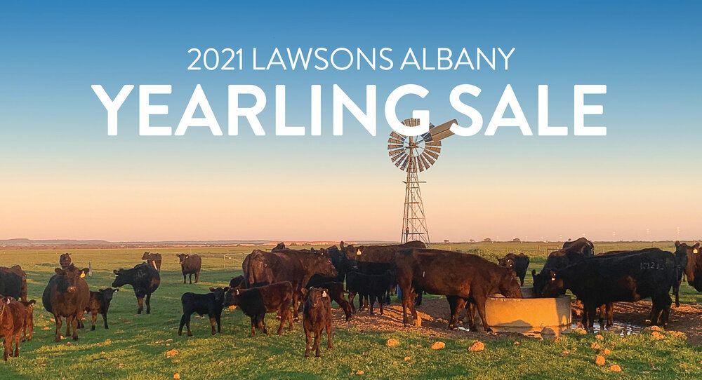 Angus Australia tweet media