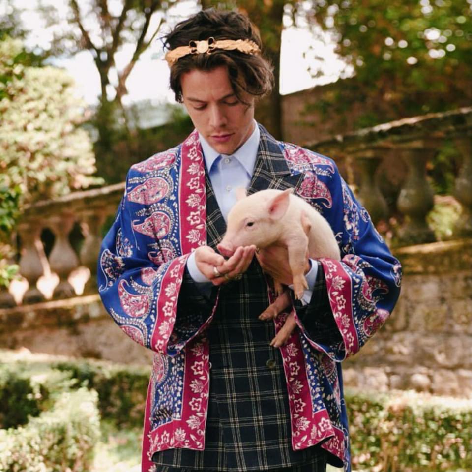 hstylespics's tweet photo. harry is not made for gucci, gucci was made for harry https://t.co/UWStIiqMnz