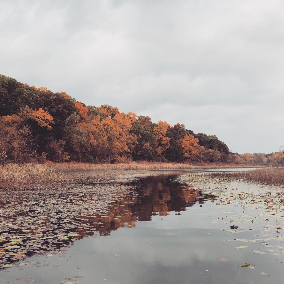 RfgFinancial's tweet image. Getting out and about after a long day of grinding! Happy Earth Day!