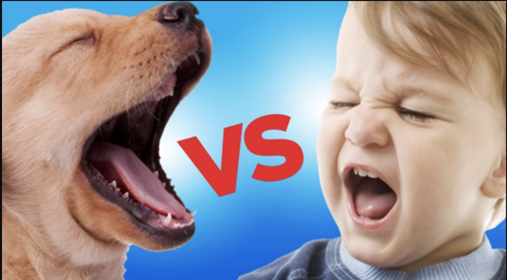 ddkirsch's tweet photo. As an industry analyst I get all sorts of interesting press releases, but this is a first...

Cost of Puppy vs. Baby!

Brought to you by pet #CBD supplier, @honestpaws and its parents company, https://t.co/bdFMzwIRUD

Study: https://t.co/HnebQm83AD

#Baby #Savemoney #Familybudget https://t.co/7oB0ylEygI