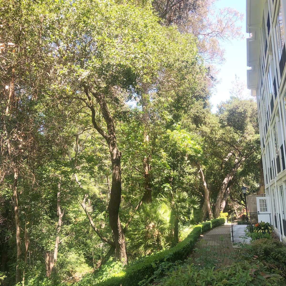 SaratogaInnCA's tweet photo. Bienvenidos, ba-ruch ha-ba, yokoso, huanying, svaagat he, bienvenue.... welcome to your #homeawayfromhome !
#roadtrip #theheidbar #InnatSaratogaCA #Hilton #TapestryCollection #CaliforniaForAll #californiaadventure #northbay #hotelhideaway #hotel #quiethotel #hotelwithaview https://t.co/mUTs2Hw26C