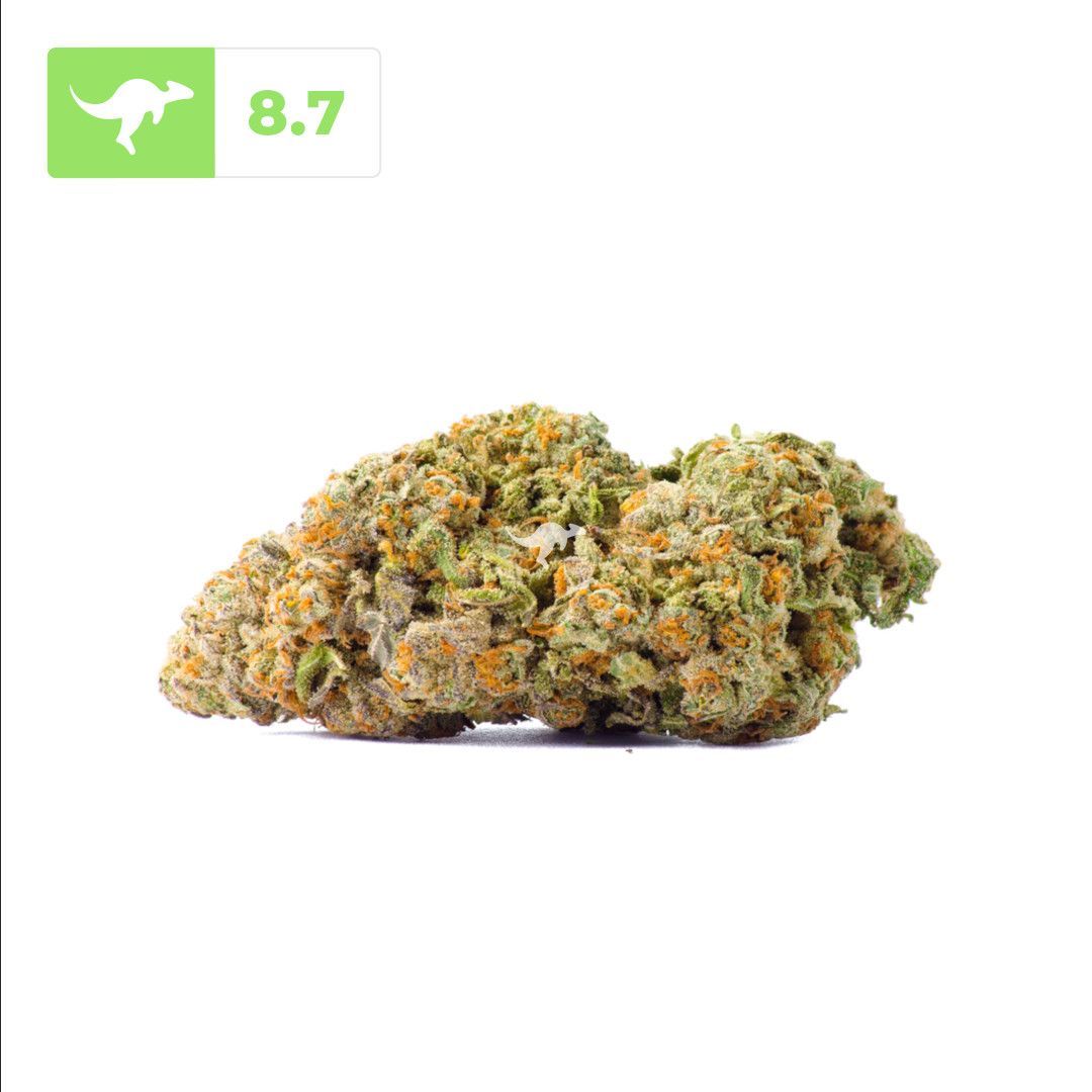 canngaroo's tweet image. Blue Dream | #bluedream
•
This popular sativa hybrid will have you feeling happy, euphoric, creative, and relaxed. Blue Dream has a sweet, earthy, and berry aroma.
•
Have you tried this strain? Review on Canngaroo and earn rewards!
•