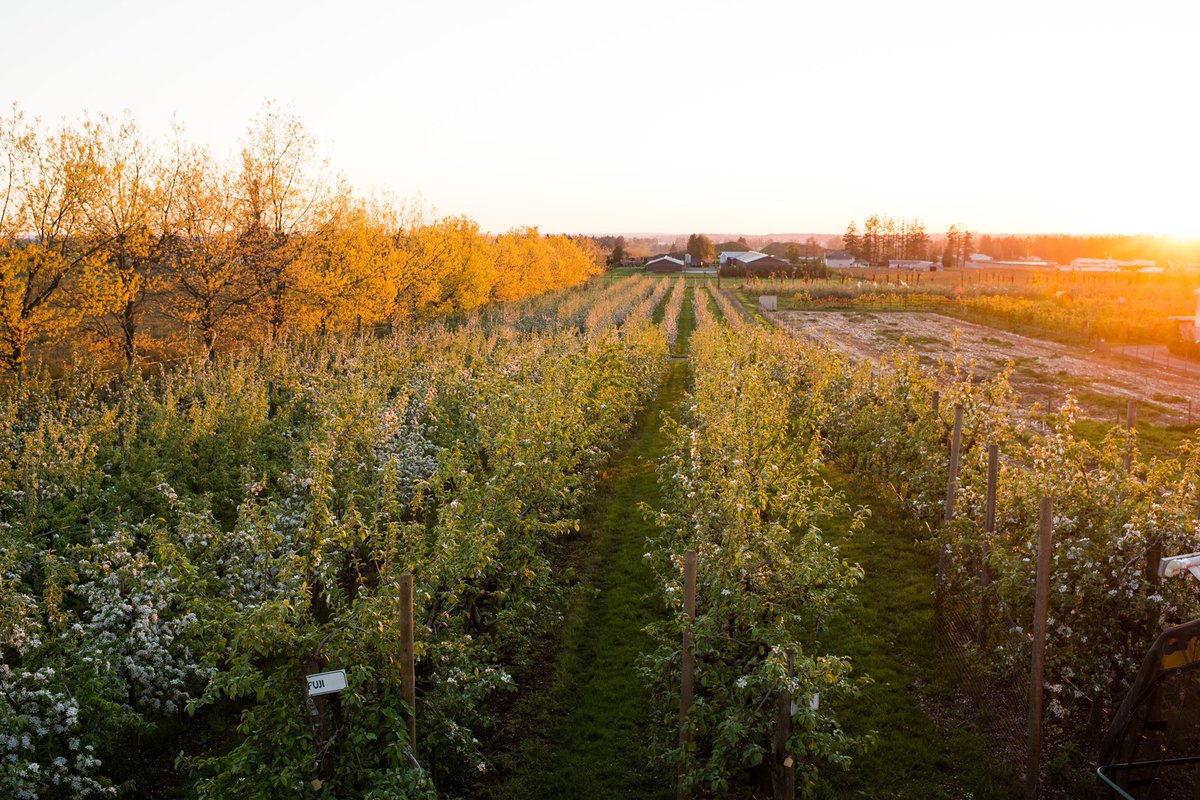 The Earth will not continue to offer its harvest, except with faithful stewardship.

Honouring Earth Day. 

#earthday #earthday2021