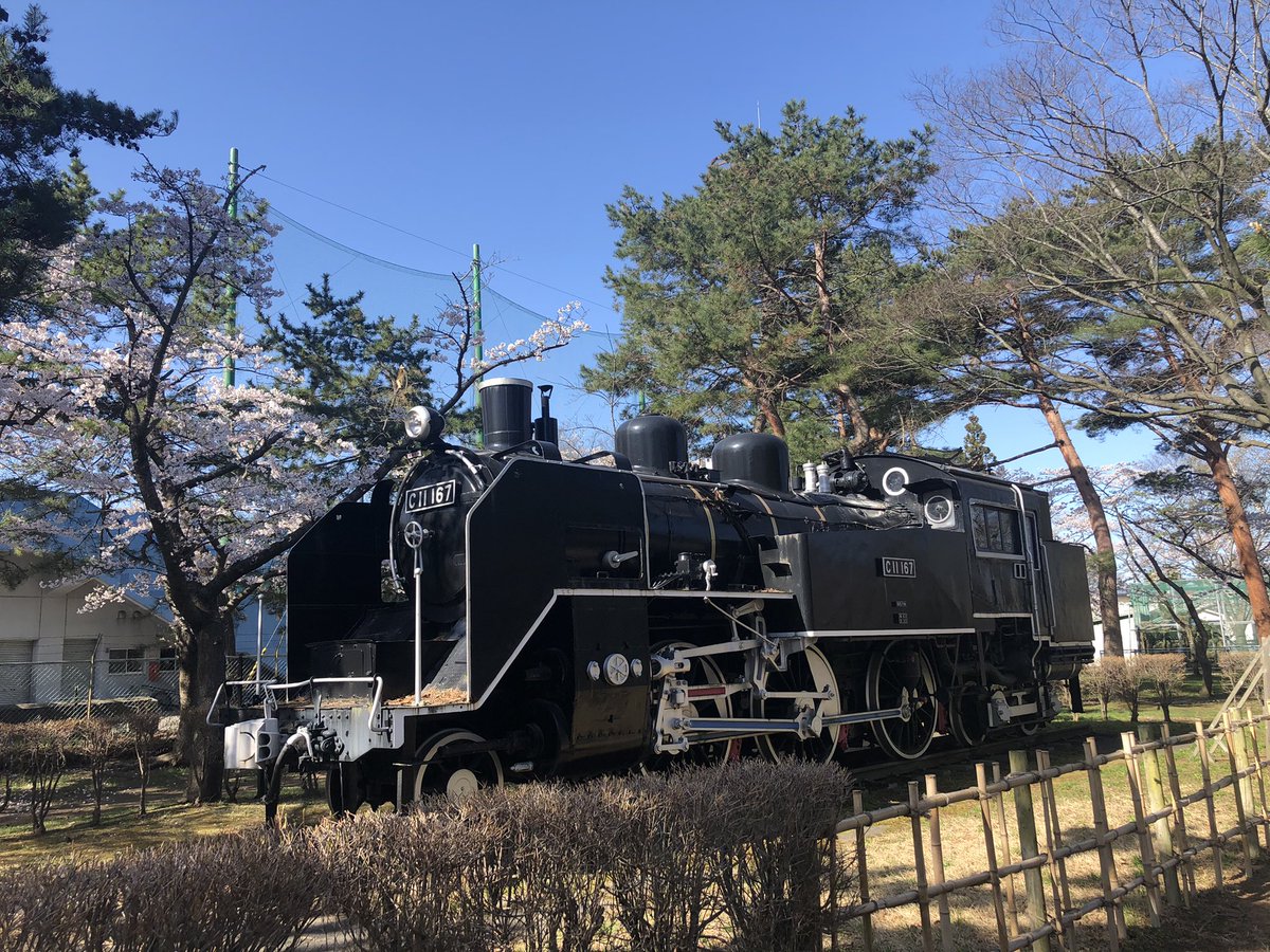 ichikawa1999's tweet photo. 早めに会社に着いたのでぷらっと合浦公園散歩。
なかなか気持ちいい。 https://t.co/SBsx65BGcl
