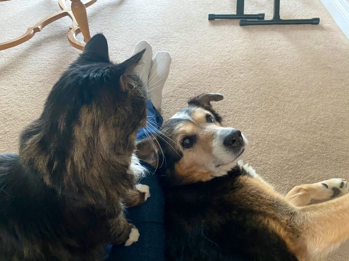 Tina27Twit's tweet image. Staying warm inside 💞❄️ #SnuggleSession