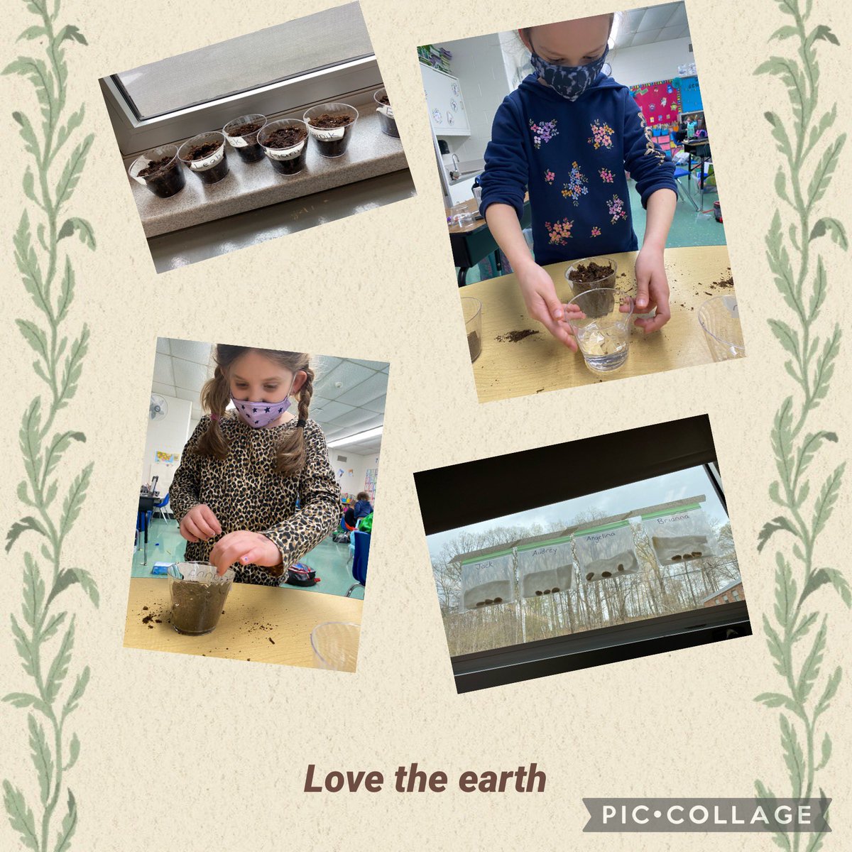 Making the most of this cold Earth Day.  First we planted vegetables and flowers and then we germinated  seeds in a bag! What a fun way for kids to view how seeds transform into plants right before our eyes..  #MakeEveryDayEarthDay  <a href="/ApshawaSchool/">Apshawa School</a> <a href="/WMScienceIA/">Coleen Weiss-Magasic</a>